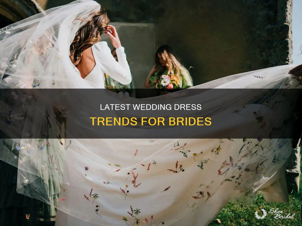 what is the newest trend for wedding dresses