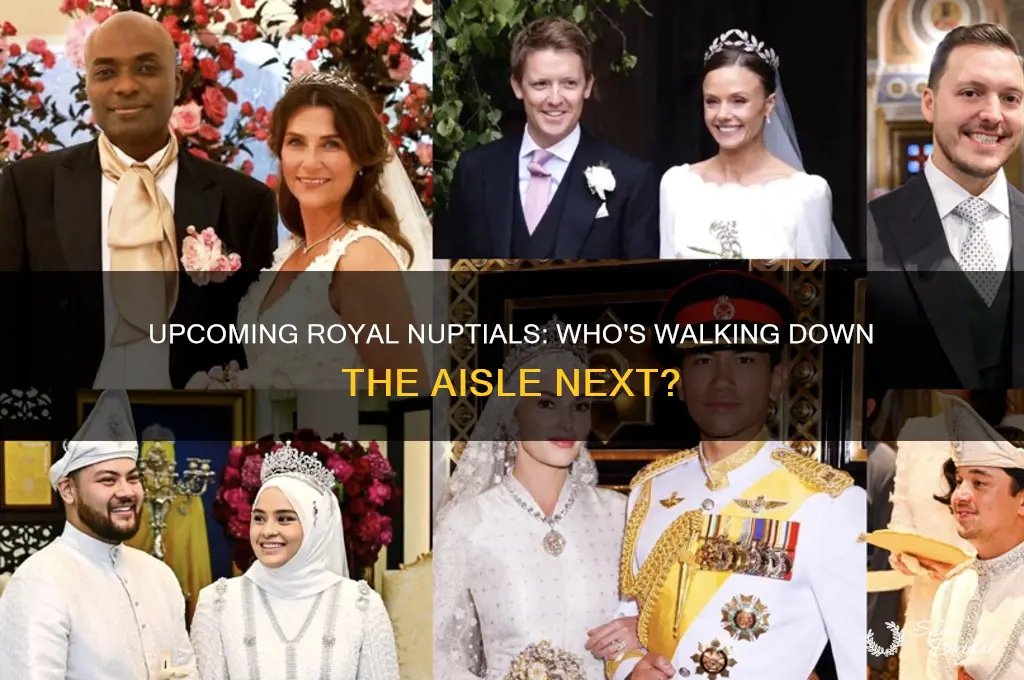 what is the next royal wedding after harry and meghan