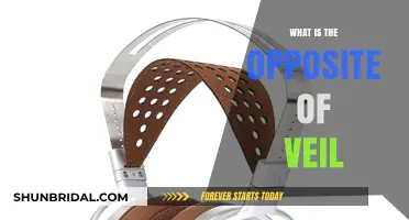 Unveiling the Opposite: Exploring Transparency Beyond the Veil's Concealment
