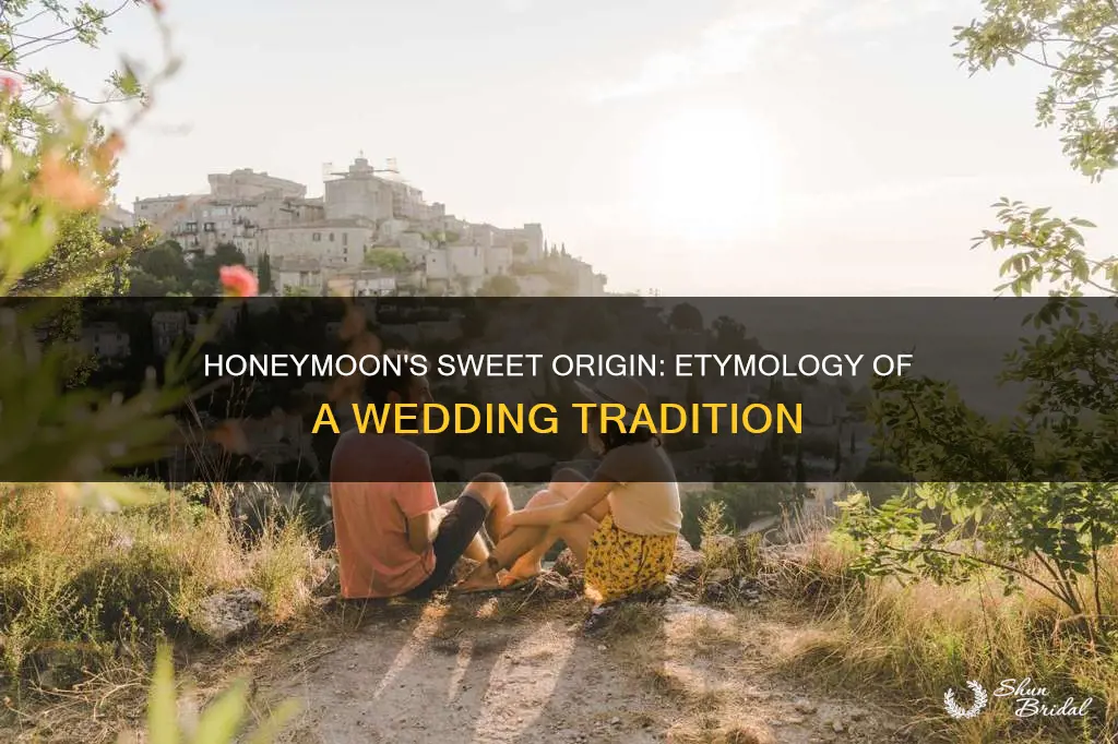 what is the origin of the word occasion honeymoon