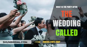 The Post-Wedding Party: Celebrating Love After the Big Day