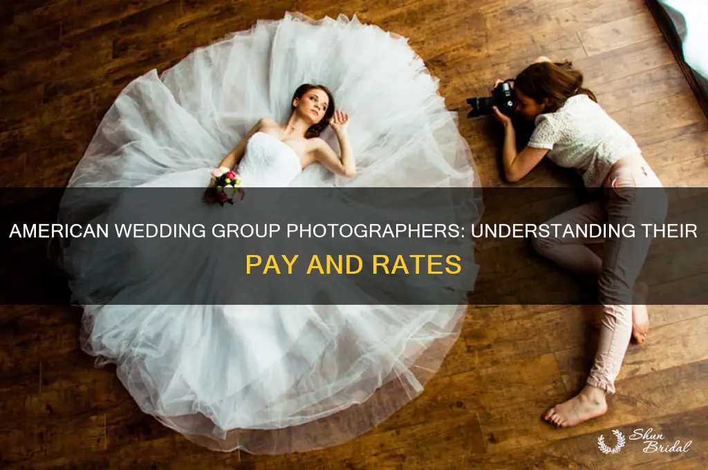 what is the pay for american wedding group photographers