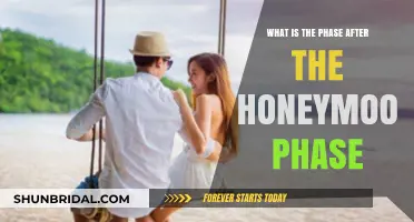 Beyond Bliss: Navigating the Post-Honeymoon Phase in Relationships
