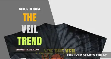 Understanding the Pierce the Veil Trend: Origins, Impact, and Evolution
