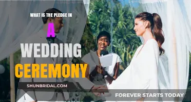 Understanding the Sacred Wedding Pledge: Meaning, Importance, and Traditions