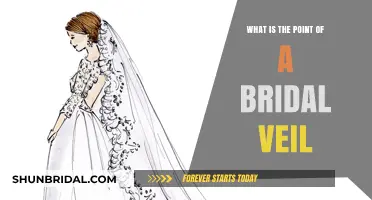 The Bridal Veil: Symbolism, Tradition, and Modern Wedding Elegance