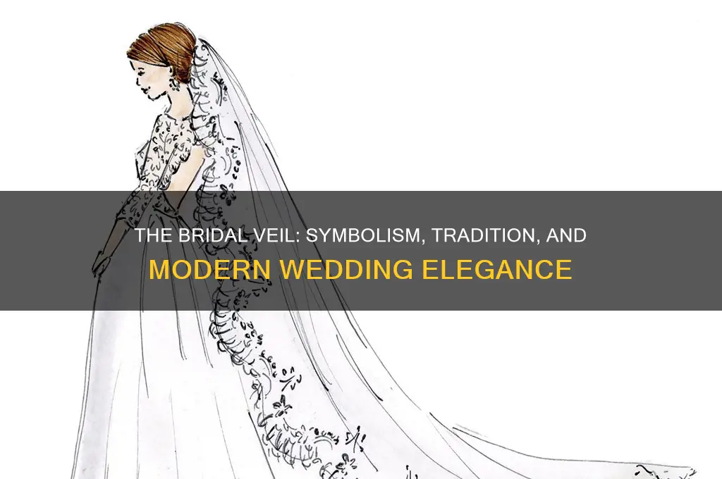 what is the point of a bridal veil