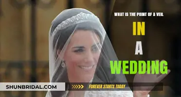 The Symbolic Meaning and Purpose of a Wedding Veil Explained