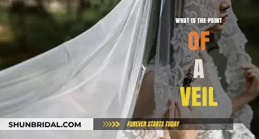 The Veil's Purpose: Symbolism, Tradition, and Personal Significance Explained