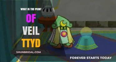 Understanding the Purpose and Functionality of Veil TTYD