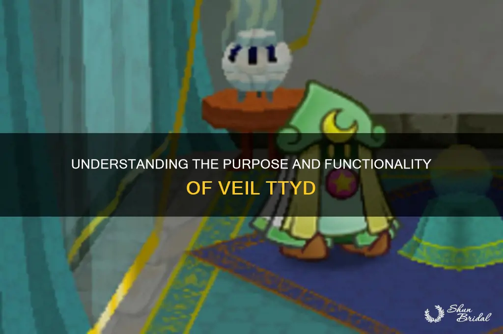 what is the point of veil ttyd