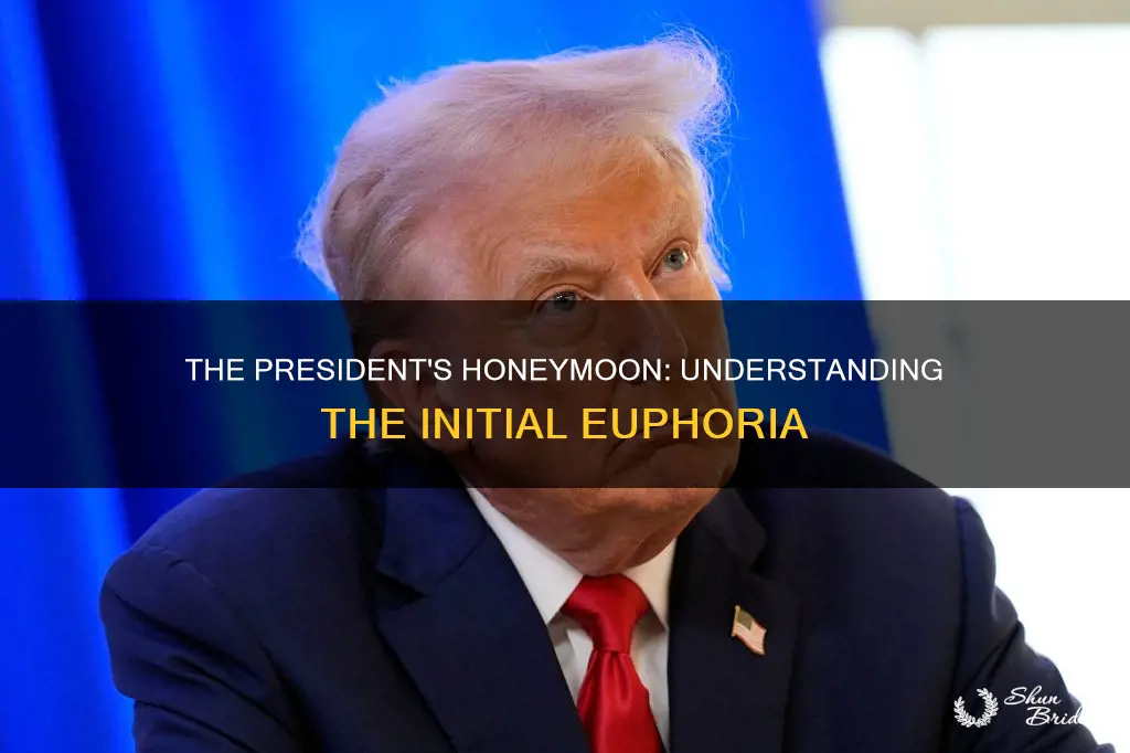 what is the president honeymoon stage