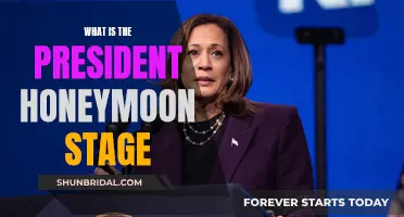 Understanding the President's Honeymoon Period