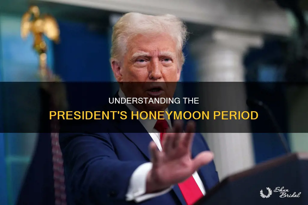what is the president honeymoon stage