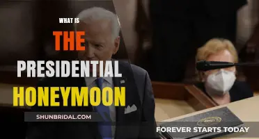 Understanding the Presidential Honeymoon: A New Leader's Grace Period