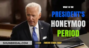Understanding the President's Honeymoon Period: Power, Politics, and Potential