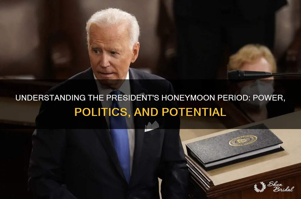 what is the president