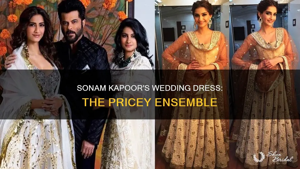 what is the price of sonam kapoor wedding dress