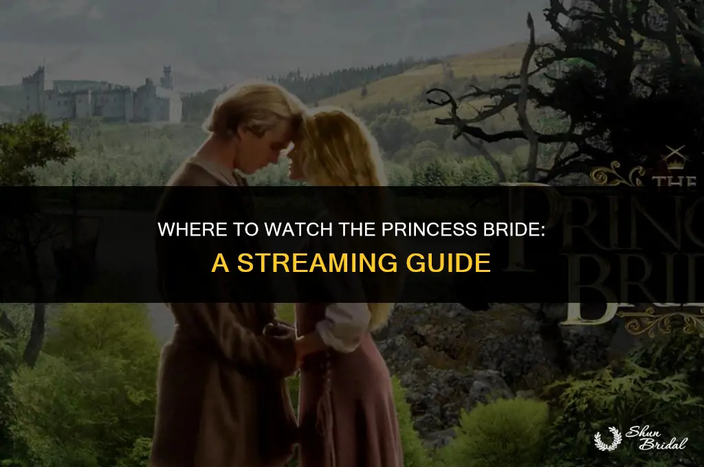 what is the princess bride streaming on