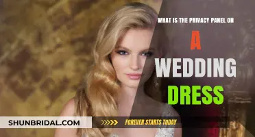 The Privacy Panel: Wedding Dress Feature Explained