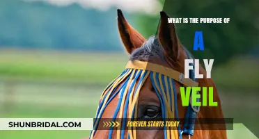 Understanding Fly Veils: Purpose, Benefits, and Uses for Horses