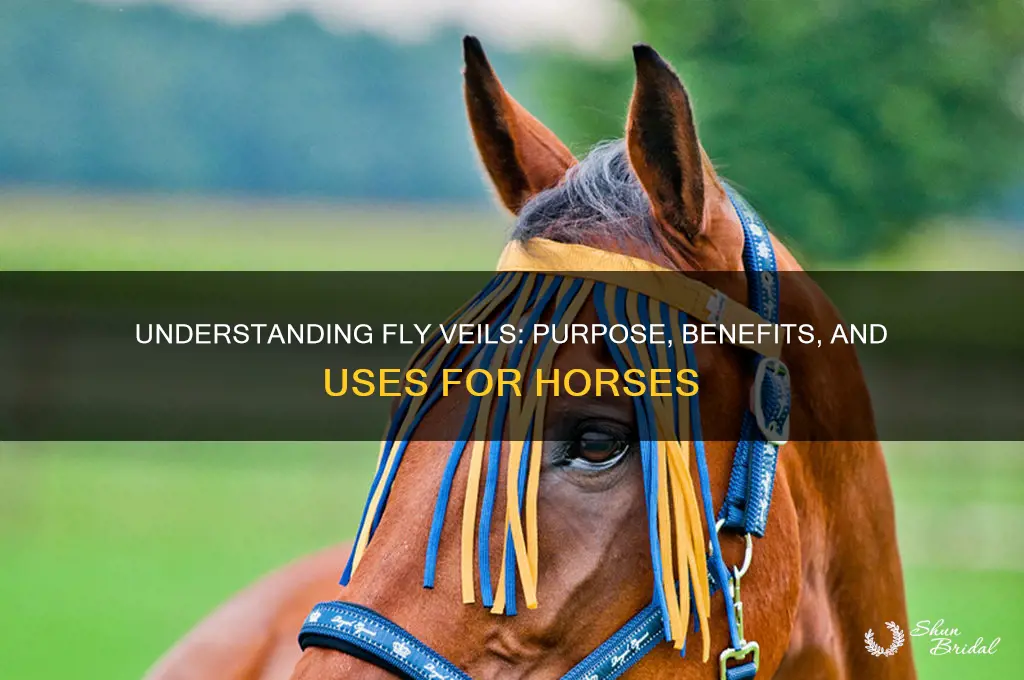 what is the purpose of a fly veil