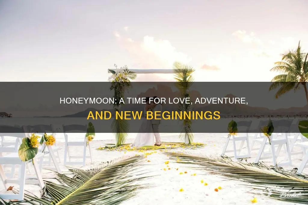 what is the purpose of a honeymoon