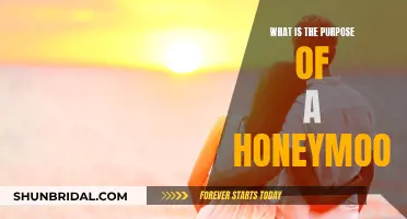 Honeymoon: Celebrating Love, Building a Future Together