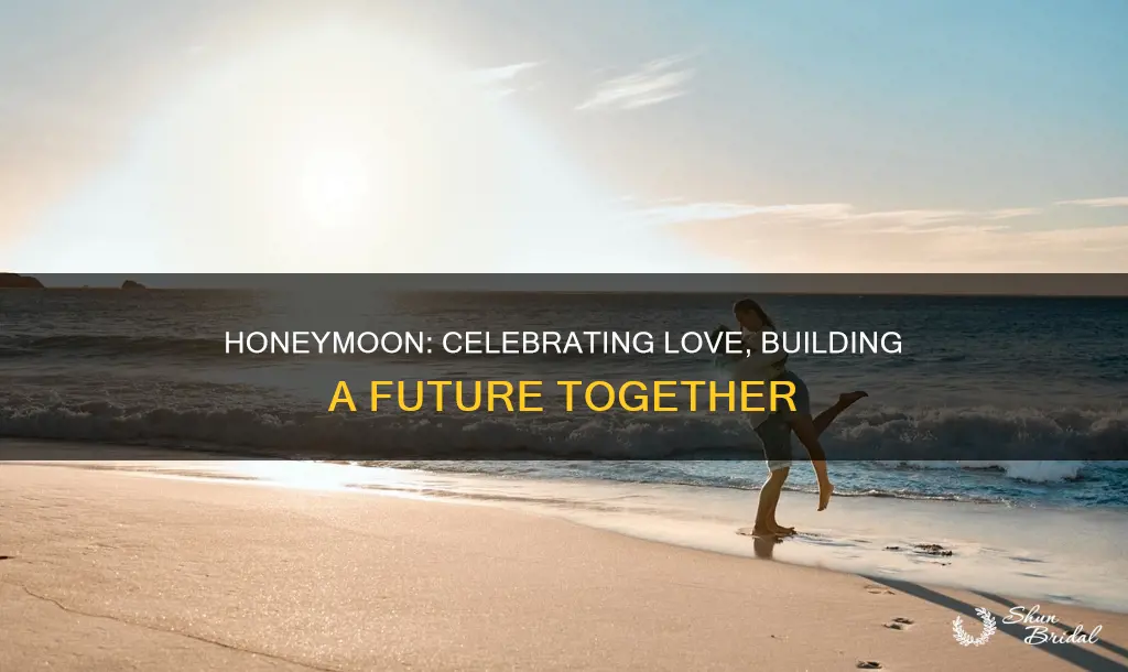 what is the purpose of a honeymoon