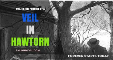 Unveiling the Symbolic Purpose of Veils in Hawthorne's Literature