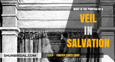 The Veil's Role in Salvation: Unveiling Divine Purpose and Meaning