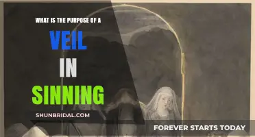 Understanding the Veil's Role in Sin: A Spiritual Perspective