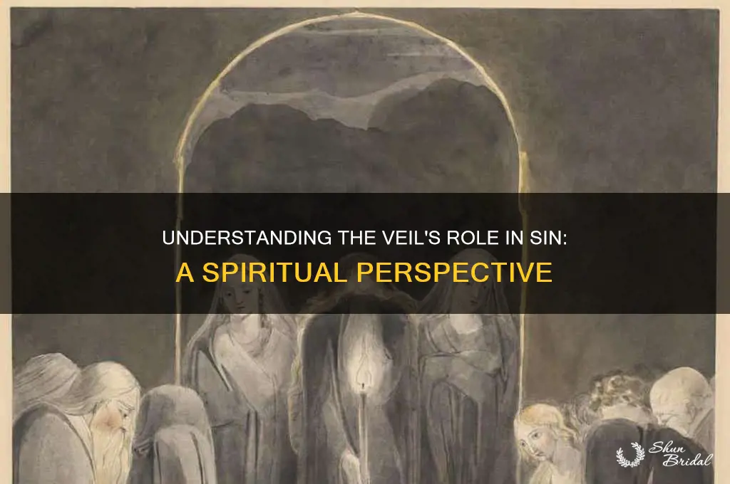 what is the purpose of a veil in sinning