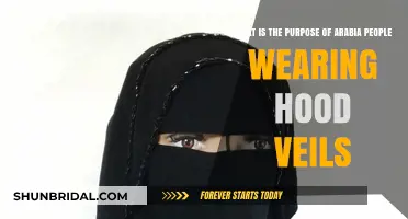 Understanding the Cultural and Religious Significance of Arabian Hood Veils