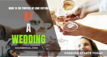 Cake Cutting Ceremony: Wedding Tradition Explained