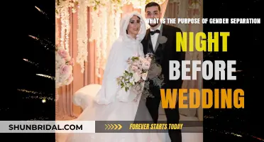 Why Gender Separation the Night Before a Wedding: Traditions Explained