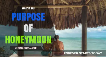 The Purpose of Honeymoon: Celebrating Love and New Beginnings