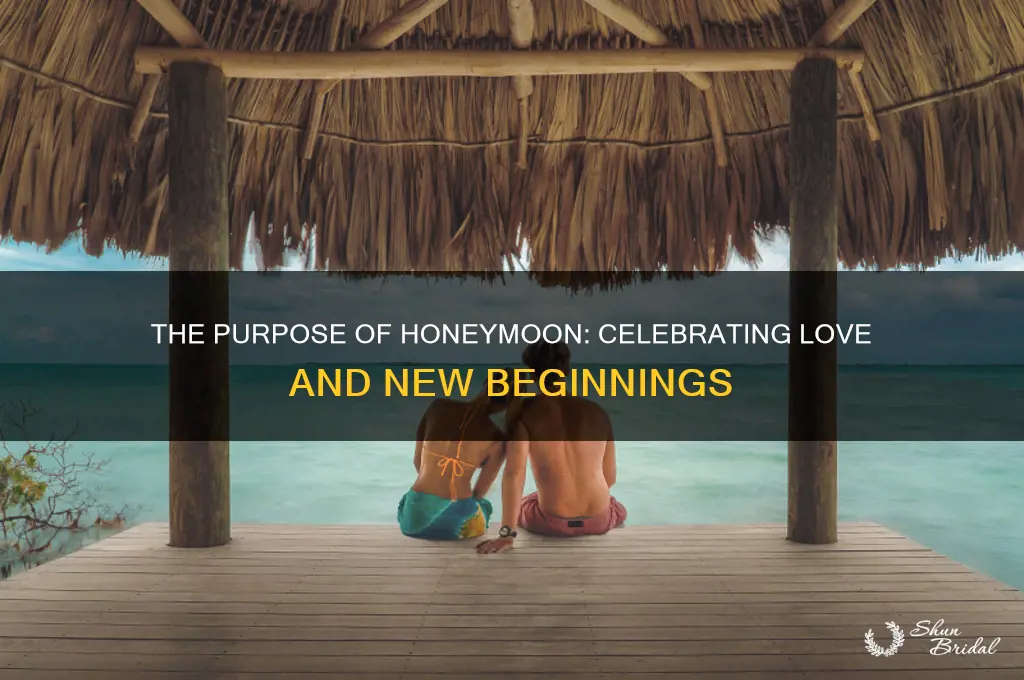 what is the purpose of honeymoon
