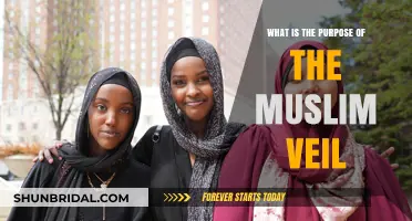 Understanding the Muslim Veil: Purpose, Significance, and Cultural Context