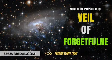 Unveiling the Veil of Forgetfulness: Purpose and Philosophical Insights