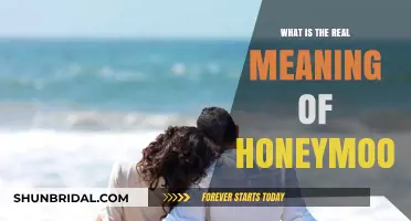 Unveiling the True Essence: The Real Meaning of Honeymoon Explored