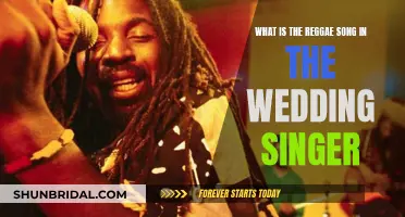 Reggae Rhythm in The Wedding Singer: Song and Scene