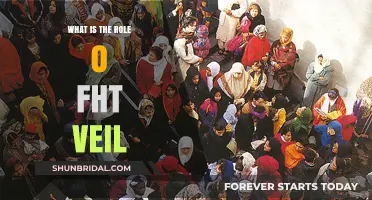 Understanding the Veil: Its Cultural, Religious, and Symbolic Significance