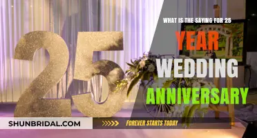 Celebrating 25 Years of Love: The Silver Anniversary Saying Explained