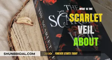 Unveiling the Mystery: Understanding the Scarlet Veil's Meaning and Symbolism