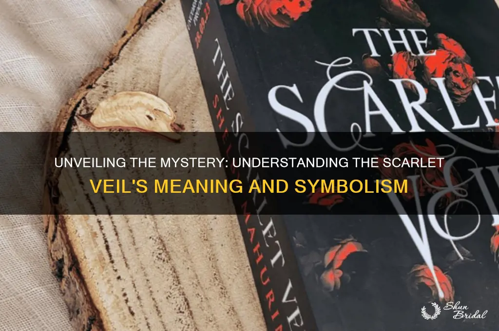 what is the scarlet veil about