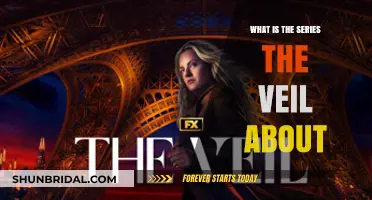 The Veil Series Explained: Plot, Characters, and Themes Unveiled
