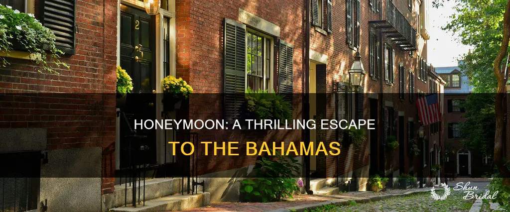 what is the setting of honeymoon james patterson