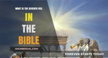 Unveiling the Mystery: Exploring the Seventh Veil's Biblical Significance