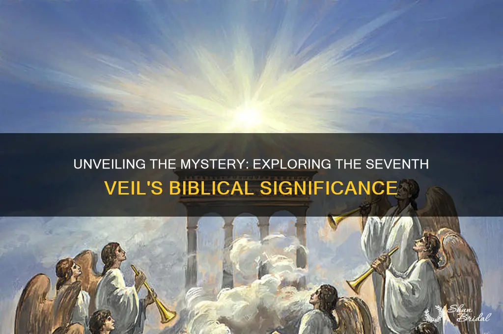 what is the seventh veil in the bible